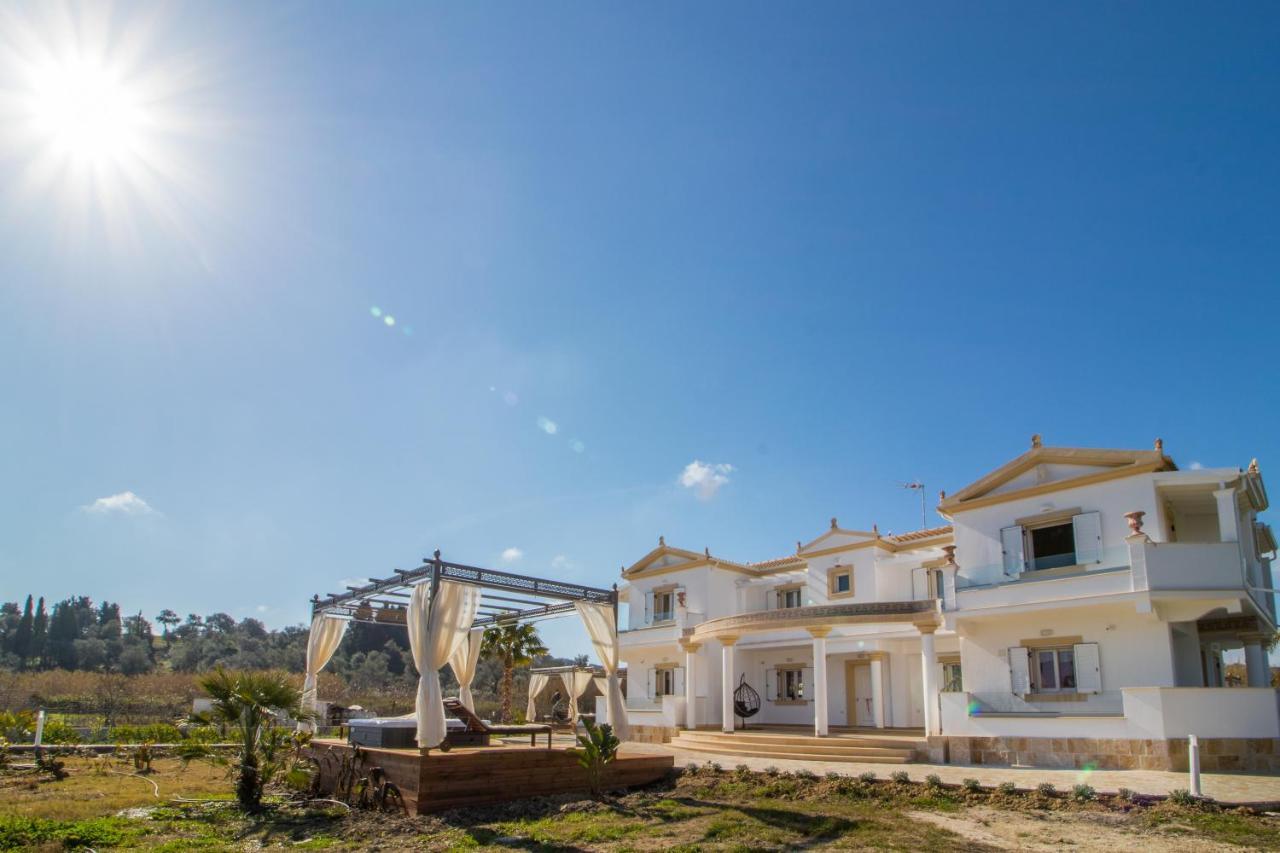Vakantiehuis τhalasso Palace Homes *