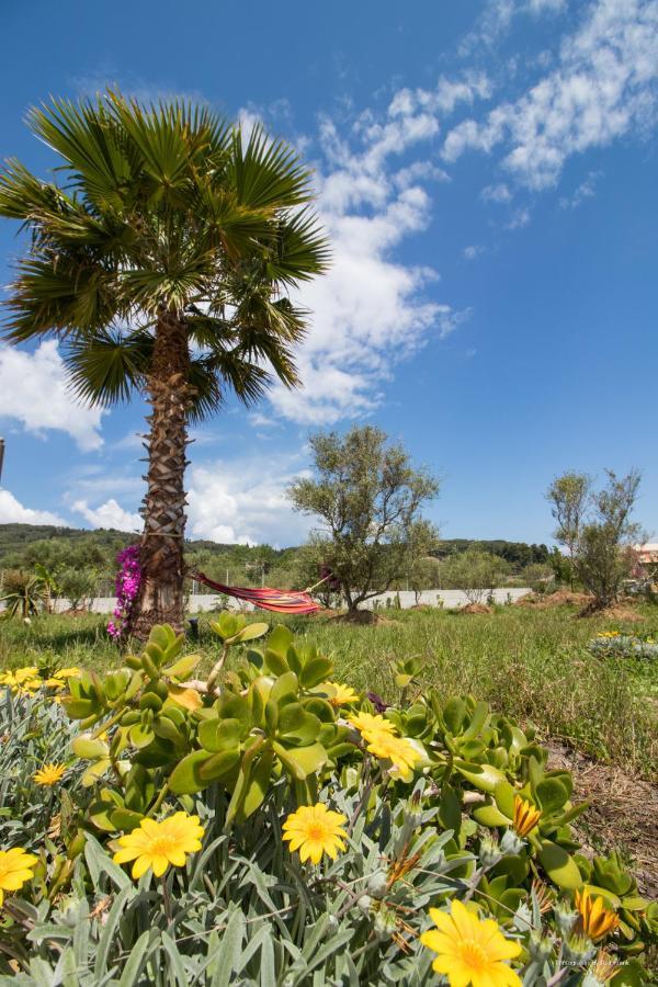 τhalasso Palace Homes * Petriti (Corfu)